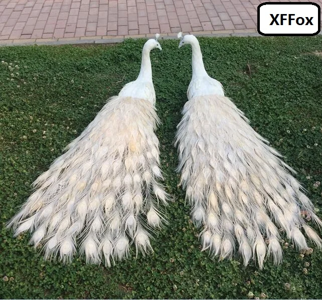 

a pair of real life peacocks model foam&feather white peacocks bird gift about 120cm XD0064