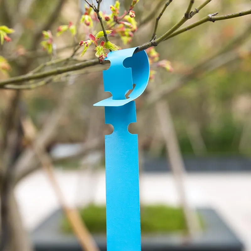 Ярлык для рассады садовые цветы и растения домашнего сада разные цвета|Маркеры