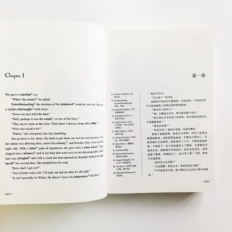 Двуязычная книга для чтения с рисунком Veil учеников средней школы на английском и