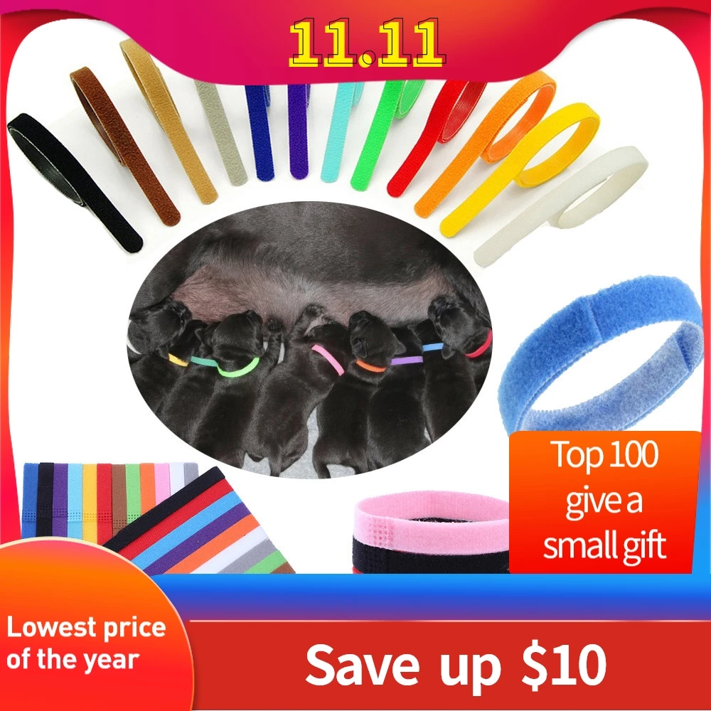 dog collar nylon12 Colors Identification Collars Bands Whelp Puppy Kitten Dog Pet Cat Soft collars easy snap feature#yl