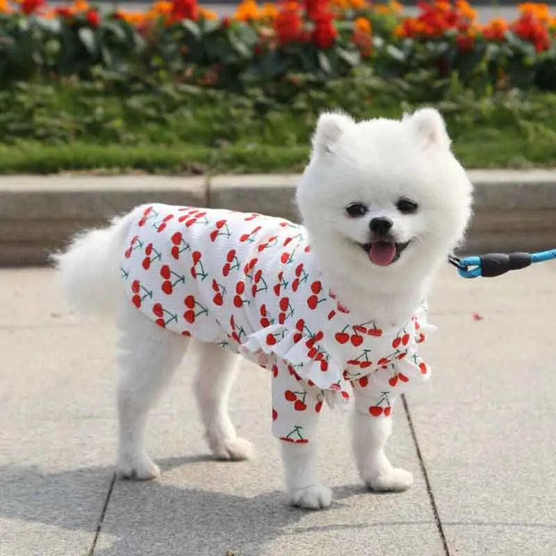 Жилет для собак S/M/L/XL зимний флисовый теплый жилет желтый мультяшный щенок одежда