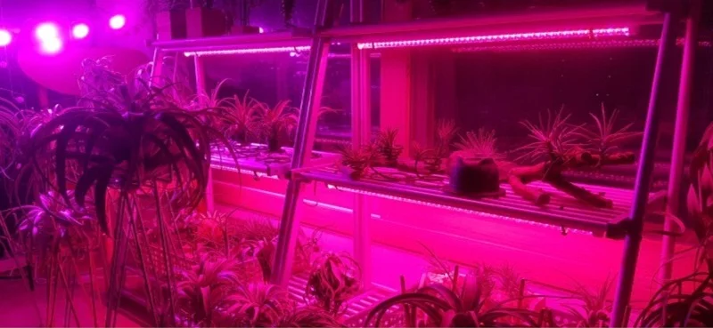 Groleds Led для растений 12 Вт 24 Вт Светодиодный светильник для выращивания полный спектр фитолампа растительный светильник полный спектр Led 110 В 220 В лампа для выращивания гидро