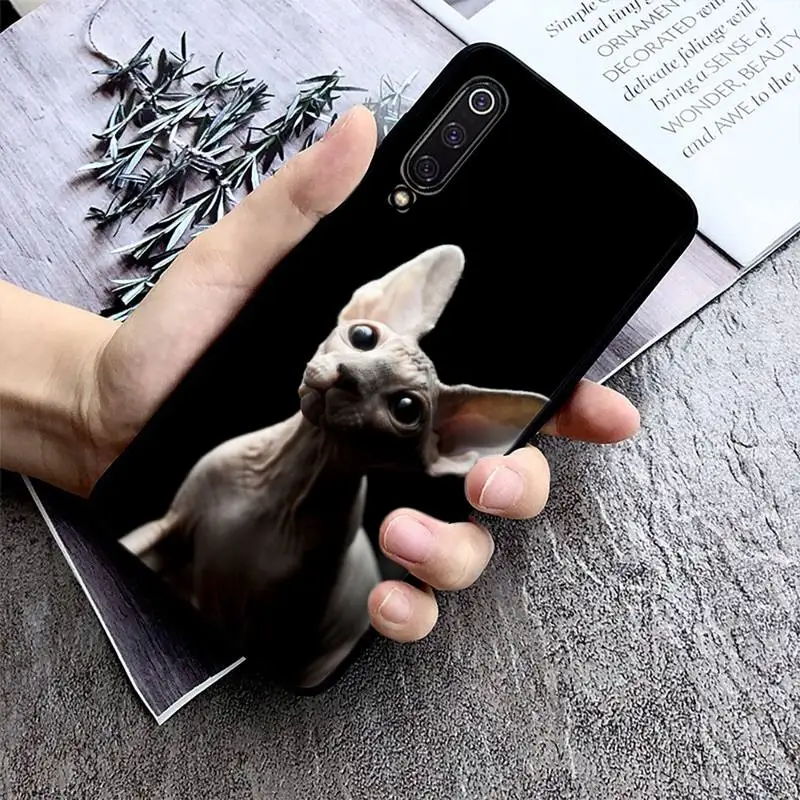

Hairless cat Phone Case Phone Case For Xiaomi mi9 mi8 F1 9SE 10lite note10lite Mi8lite Back Coque xiaomimi5x