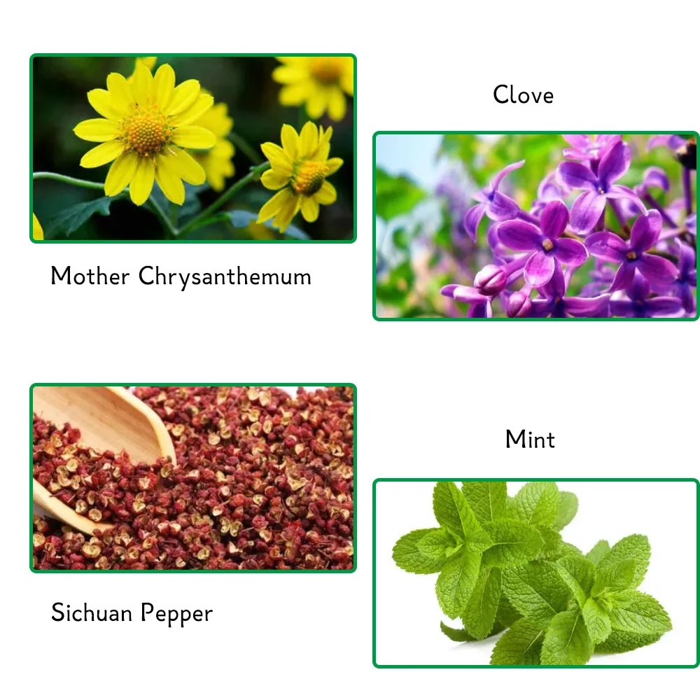 Спрей для быстрого лечения зубов эффективный с ватными палочками |