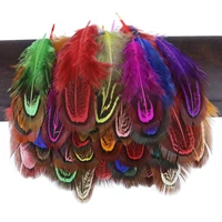 beautiful pheasant feathers diy earring crafts 3 8cm natural plumes jewelry making decoration wholesale 50 pcs pheasant feather