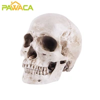human head model resin crafts skull size 1 1 detachable medical model life replica statues sculptures home halloween decoration