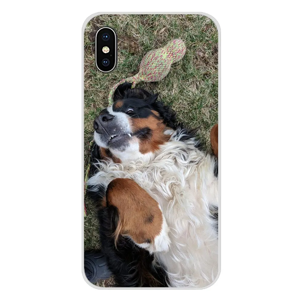 For Samsung Galaxy J1 J2 J3 J4 J5 J6 J7 J8 Plus 2018 Prime 2015 2016 2017 Accessories Phone Cases Covers Bernese Mountain Dog | Мобильные