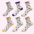 3 пары, женские носки с животными, цветные милые хлопковые носки с изображением колбасы, собаки, пары, женские носки для девочек на весну и лето, носки с изображением зоопарка