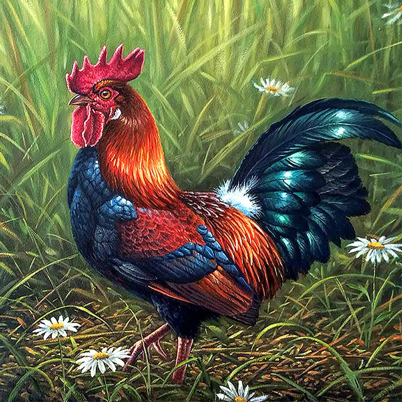 

5D Diy Diamond painting Rooster cross stitch Diamond Mosaic Rhinestones pictures Daimond painting Embroidery Animals home decor
