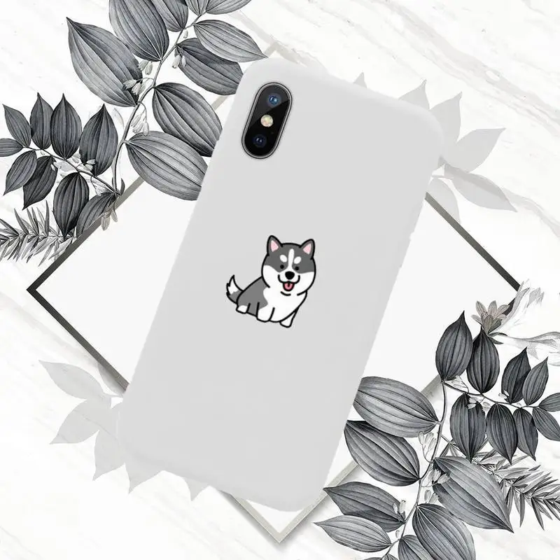 

Creative cute couple cartoon animal Phone Case Candy Color for iPhone 6 7 8 11 12 s mini pro X XS XR MAX Plus
