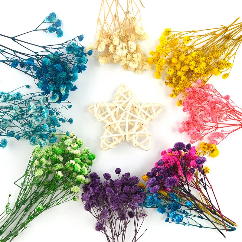 

Natural Gypsophila Dried Flowers Small Flowers Bouquet Dry Flowers Press Mini Decorative Photography Background Decor