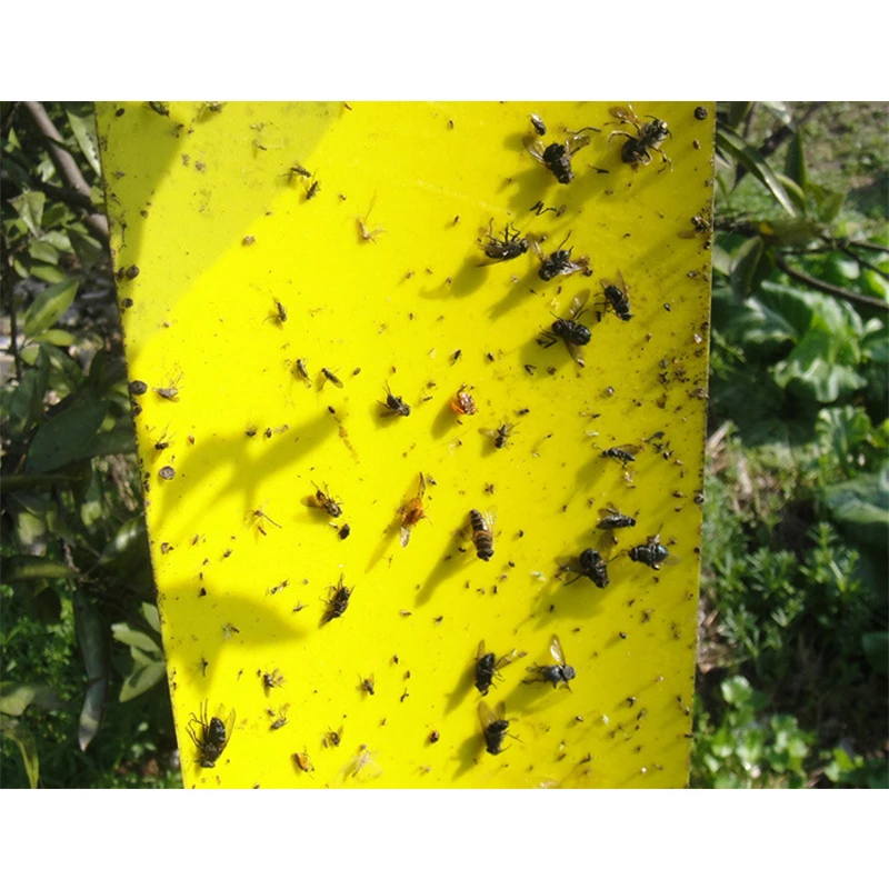 20pcs Double-Sided Yellow Sticky Trap For Flying Plant Aphid Insects Pest Killer Outdoor Fly Board Bait Flies Double Traps | Дом и сад
