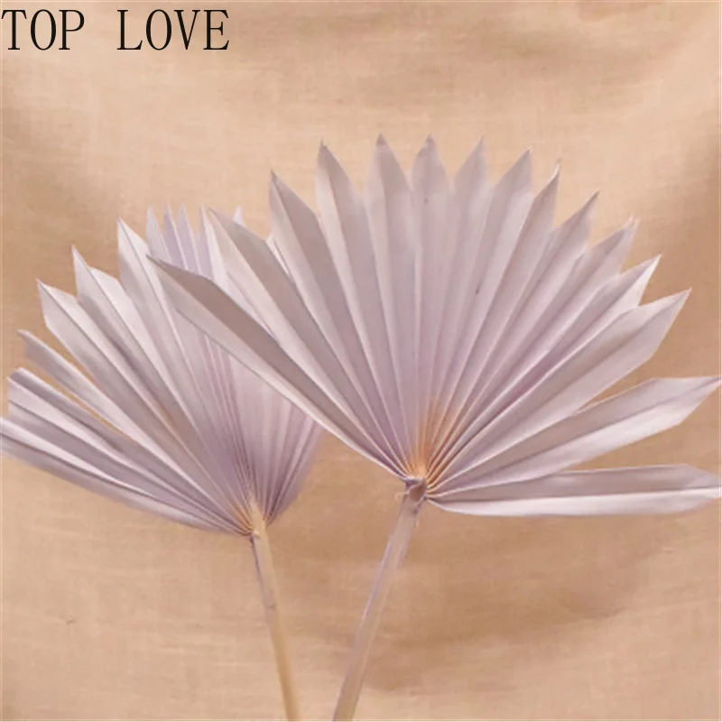Сушеный цветок веер для пальмы листья растения Подсолнух украшение дома