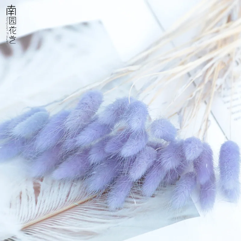 

Искусственные растения 20 шт./лот, неувядающий букет цветов, реквизит для фотографий, цветные сушеные цветы кролика, свадебное украшение для ...