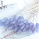 Искусственные растения 20 шт.лот, неувядающий букет цветов, реквизит для фотографий, цветные сушеные цветы кролика, свадебное украшение для дома