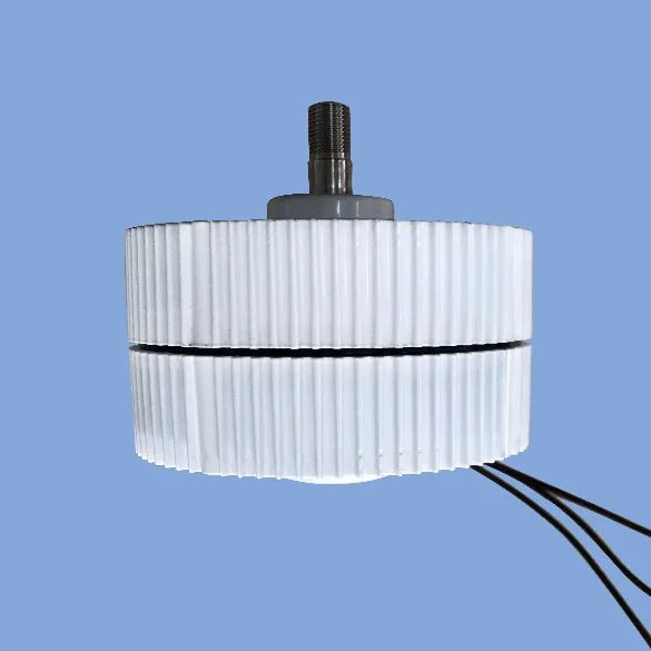 Низкая скорость вращения 300 Вт AC12V/24 В выход генератор постоянного магнита ветряной турбины генератор низких оборотов PMG 300 Вт