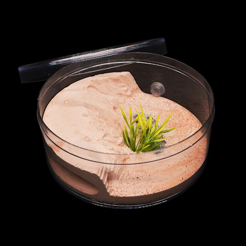 Новая экологическая штукатурка муравьиная ферма круглое гнездо Ландшафтный дом