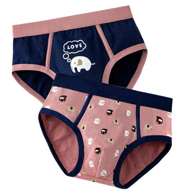 

2pcs/lot Cotton Boys Brief Underwear Kids Cartoon Underpanties Teenager Boy Child Clothes OKU203033