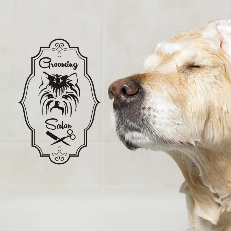 Наклейка для ухода за кошками в салонах наклейка магазина домашних животных