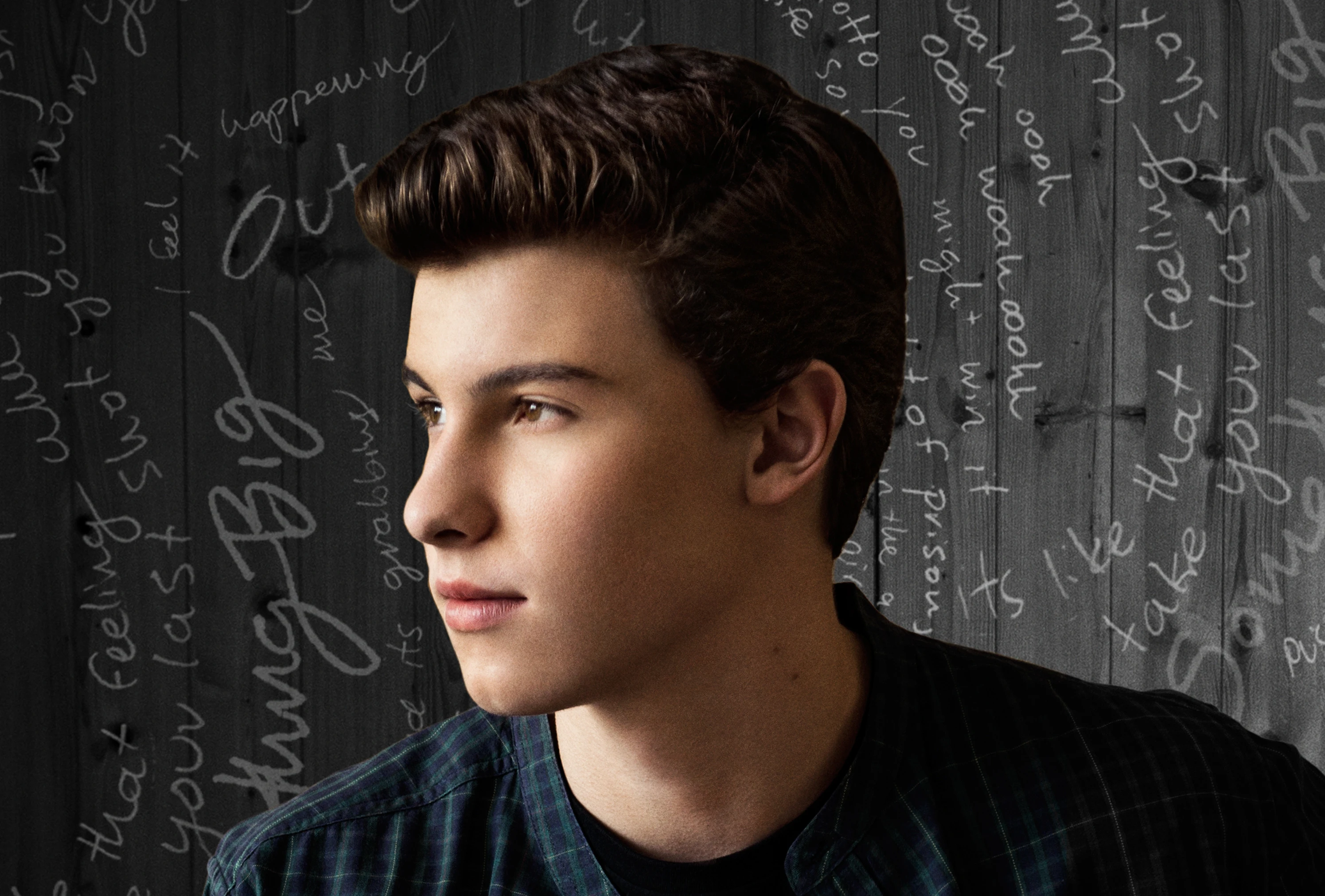 Shawn Mendes Silk Poster Wall Decor Room Painting 24X3Inch |