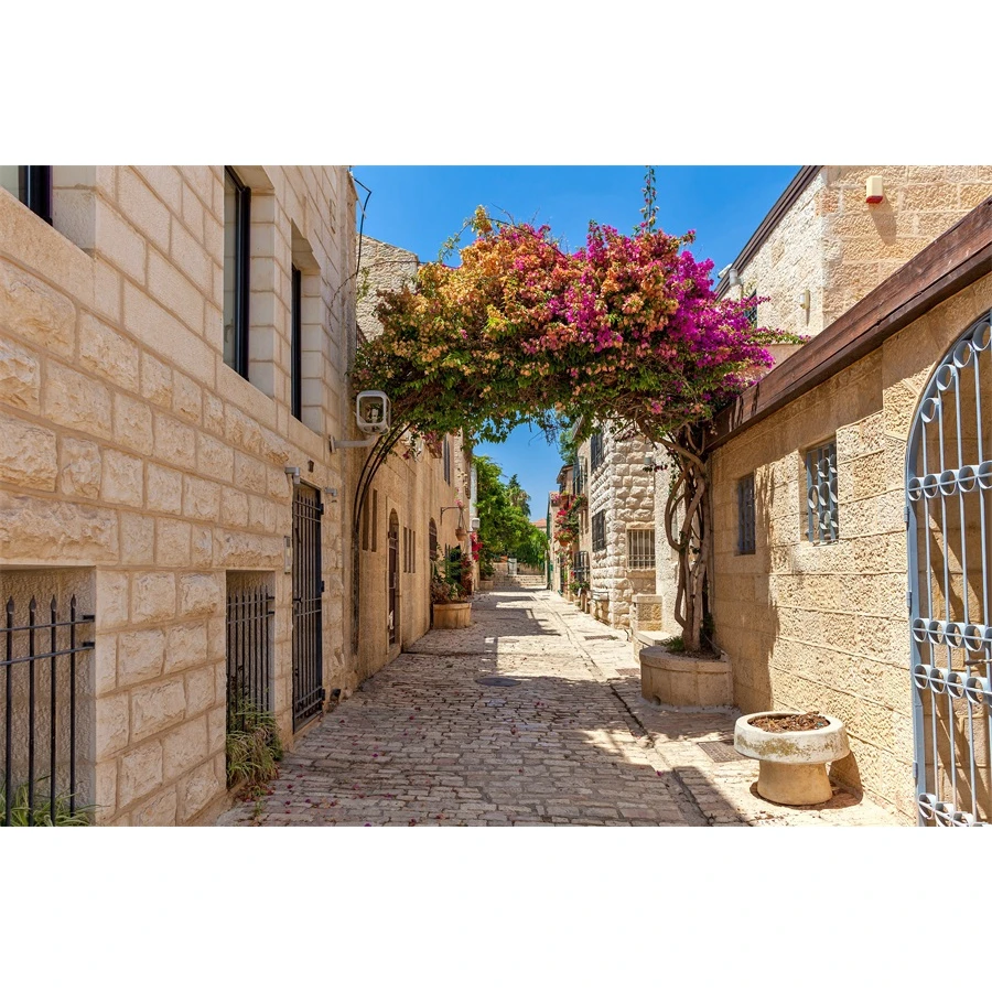 

Flowers Pathway Town Street View Photography Backgrounds Customized Portrait Baby Photographic Backdrops For Home Photo Studio