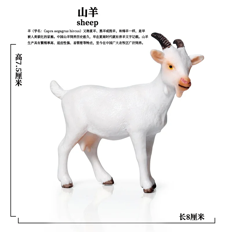 Моделирование диких животных модели украшения в виде Овцы образовательные