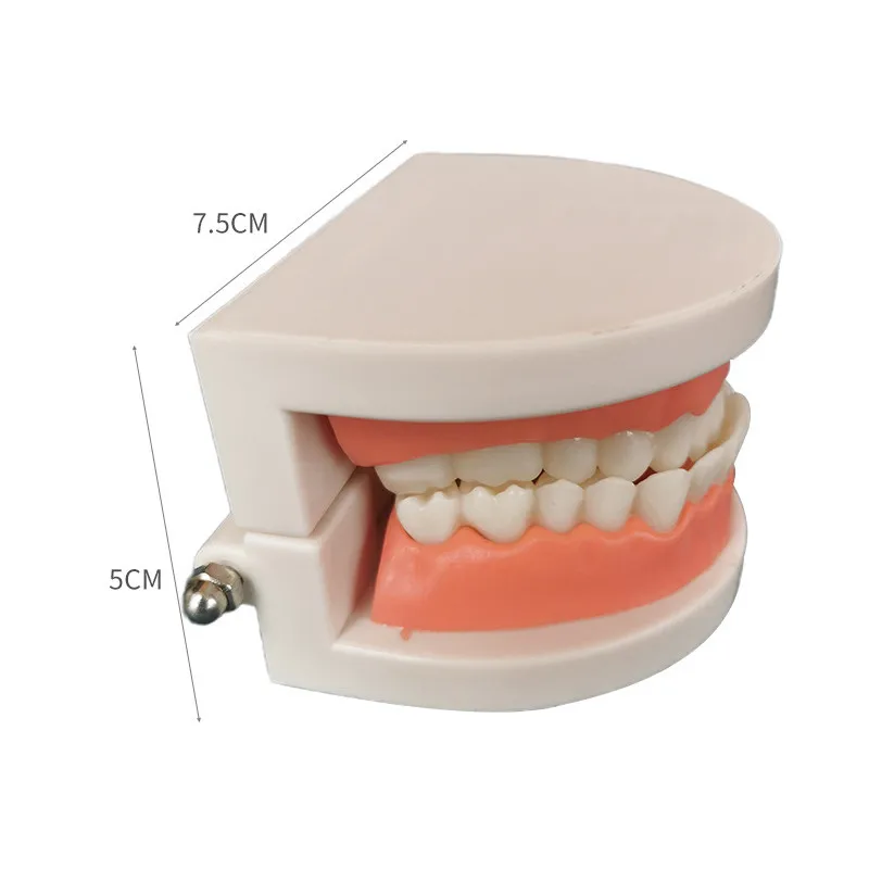 Монтессори малыша зубная игрушка практичный жизнь смоделированные Материал