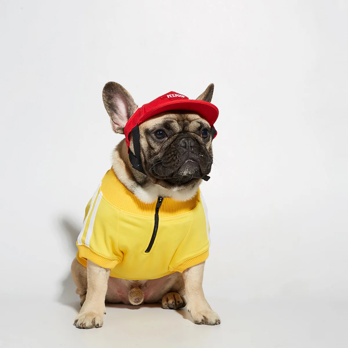 Pаспродажа Pet Одежда с принтом в виде собак корги шнауцер собака Борьба свитер собака спортивная одежда Cpstume Модная одежда с принтом в виде собак для до... Pаспродажа Pet Одежда с принтом в виде собак корги шнауцер собака Борьба свитер собака спортивная одежда Cpstume Модная одежда с принтом в виде собак для до...
