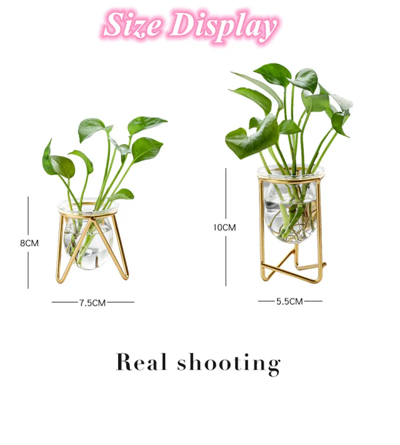 

Home Garden Tabletop Glass Vase Flower Plant Pot Terrarium Container Party Wedding Decoration INS Hydroponic Plant Glass Vase