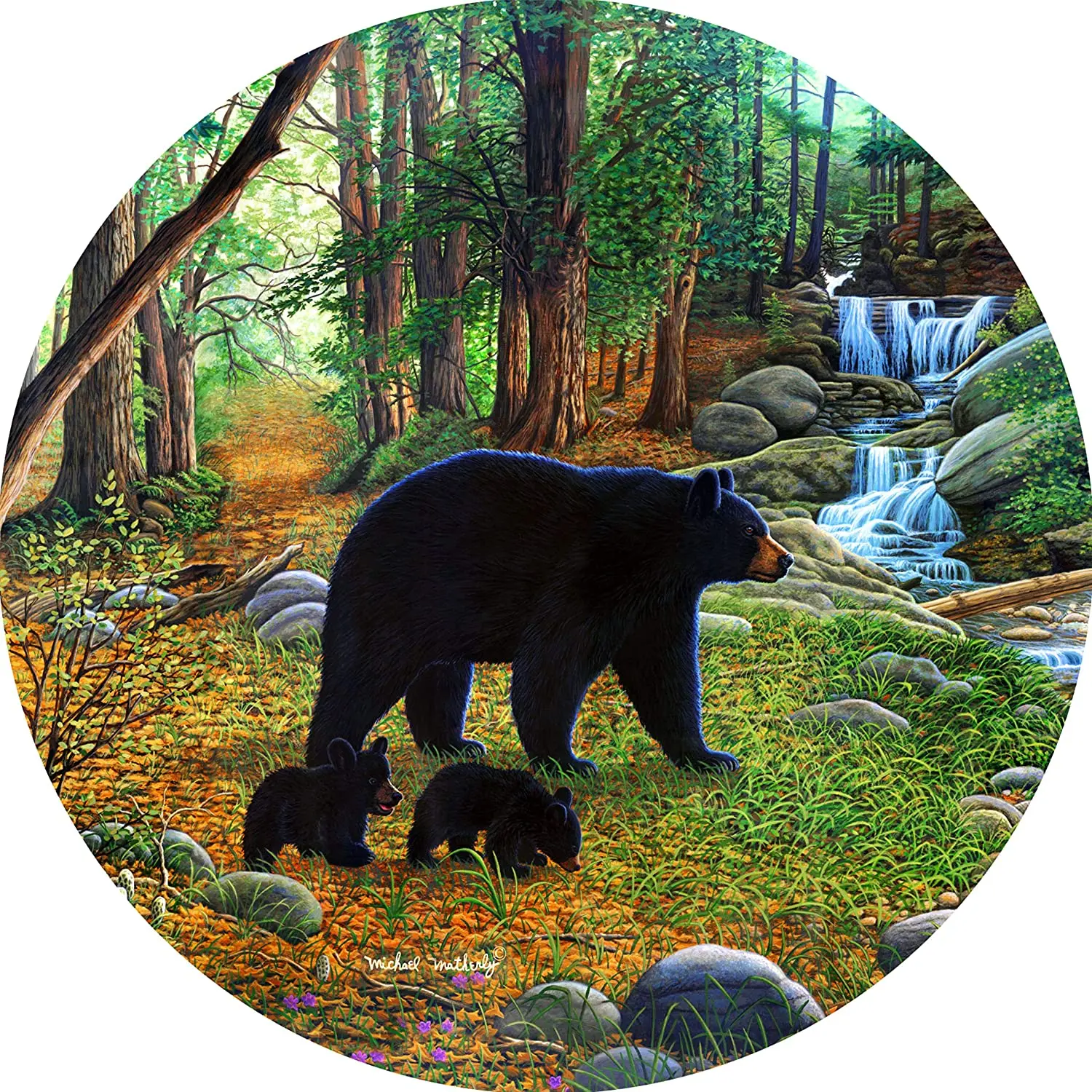 

TIRE COVER CENTRAL Black Bear & Cubs Spare Tire Cover
