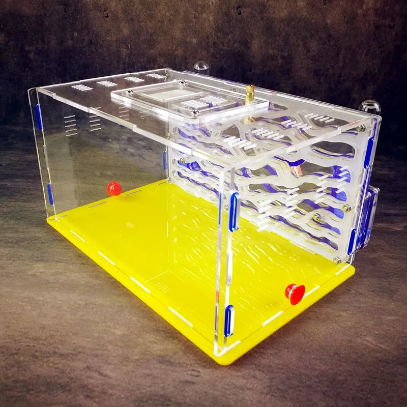 Blue Acrylic Nest Ant Workshop DIY Ants Farm House Insect Supplies Box Reptile Terrarium | Дом и сад