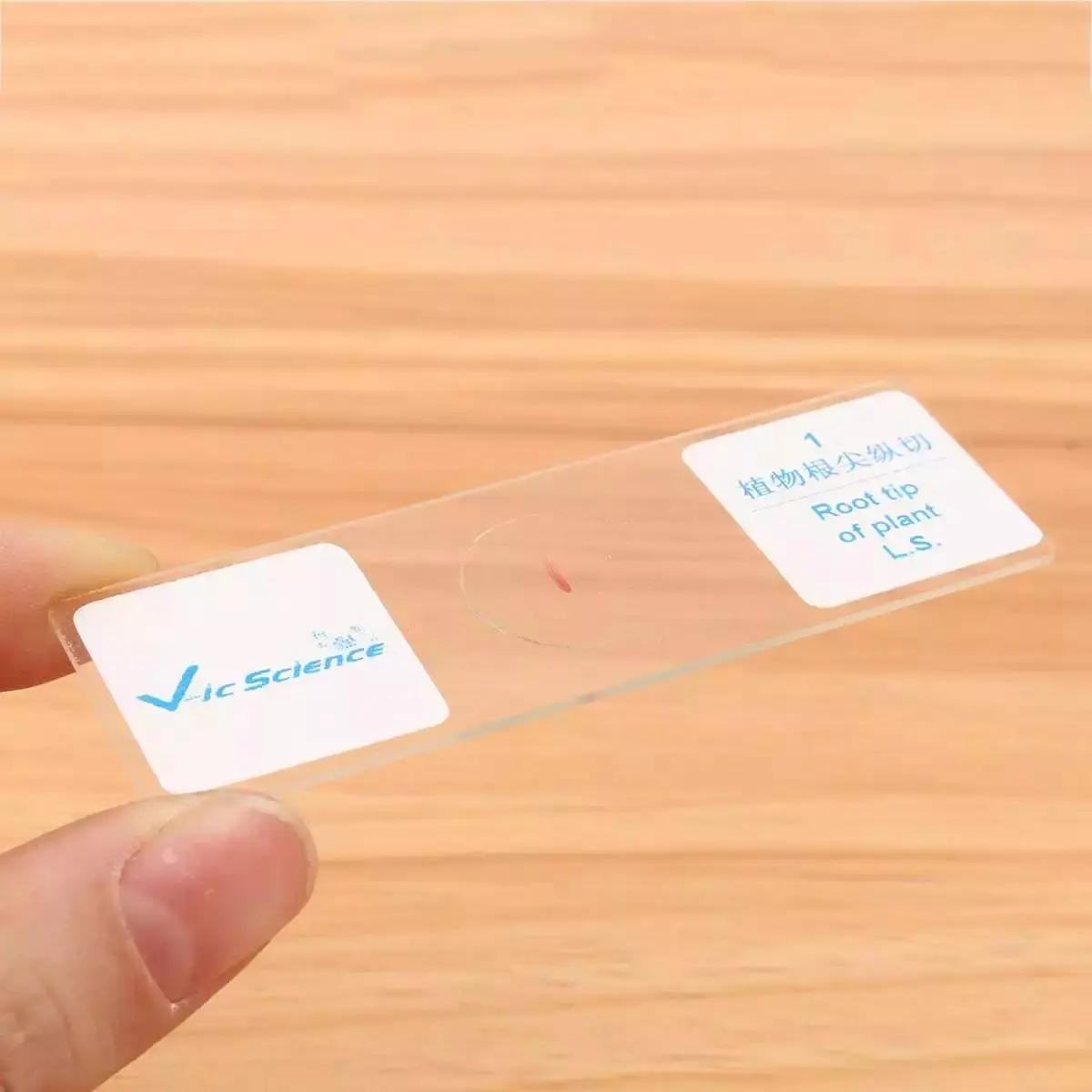 100 шт. цифровой микроскоп Стекло шлепанцы без задника с открытыми пальцами