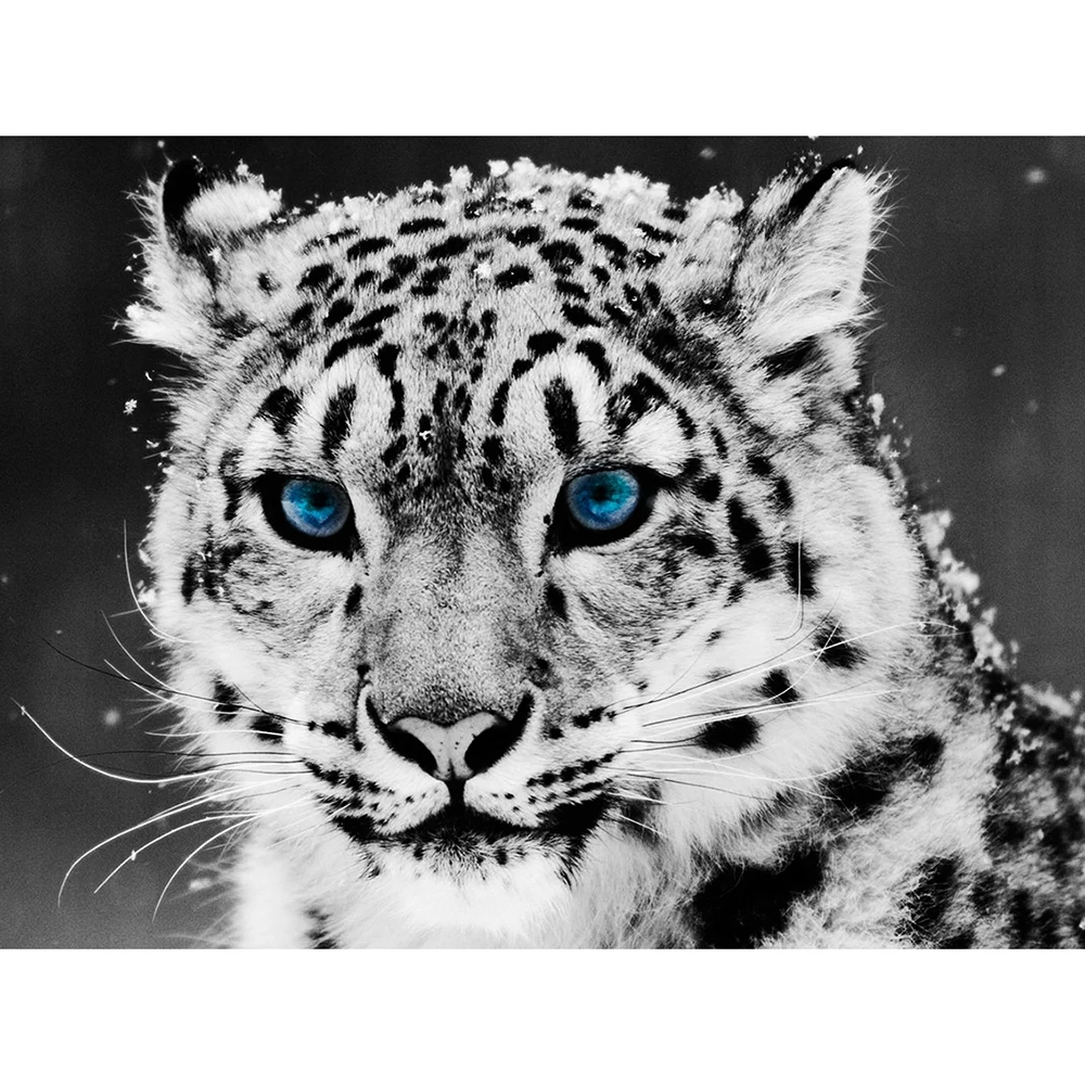 

DIY 5D Full Diamond Painting Cross Stitch White tiger Mosaic Diamond Embroidery Needlework Patterns Rhinestone kits