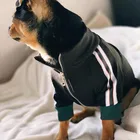 Свитер для костюм для чихуахуа пальто костюм для мопса PC1116