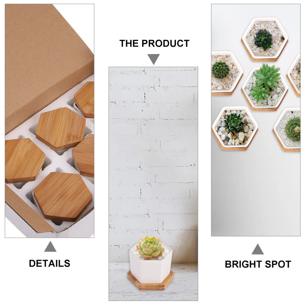 

24 Pcs Storage Containers Flower Pots Exquisite Plant Pots with Trays (White)
