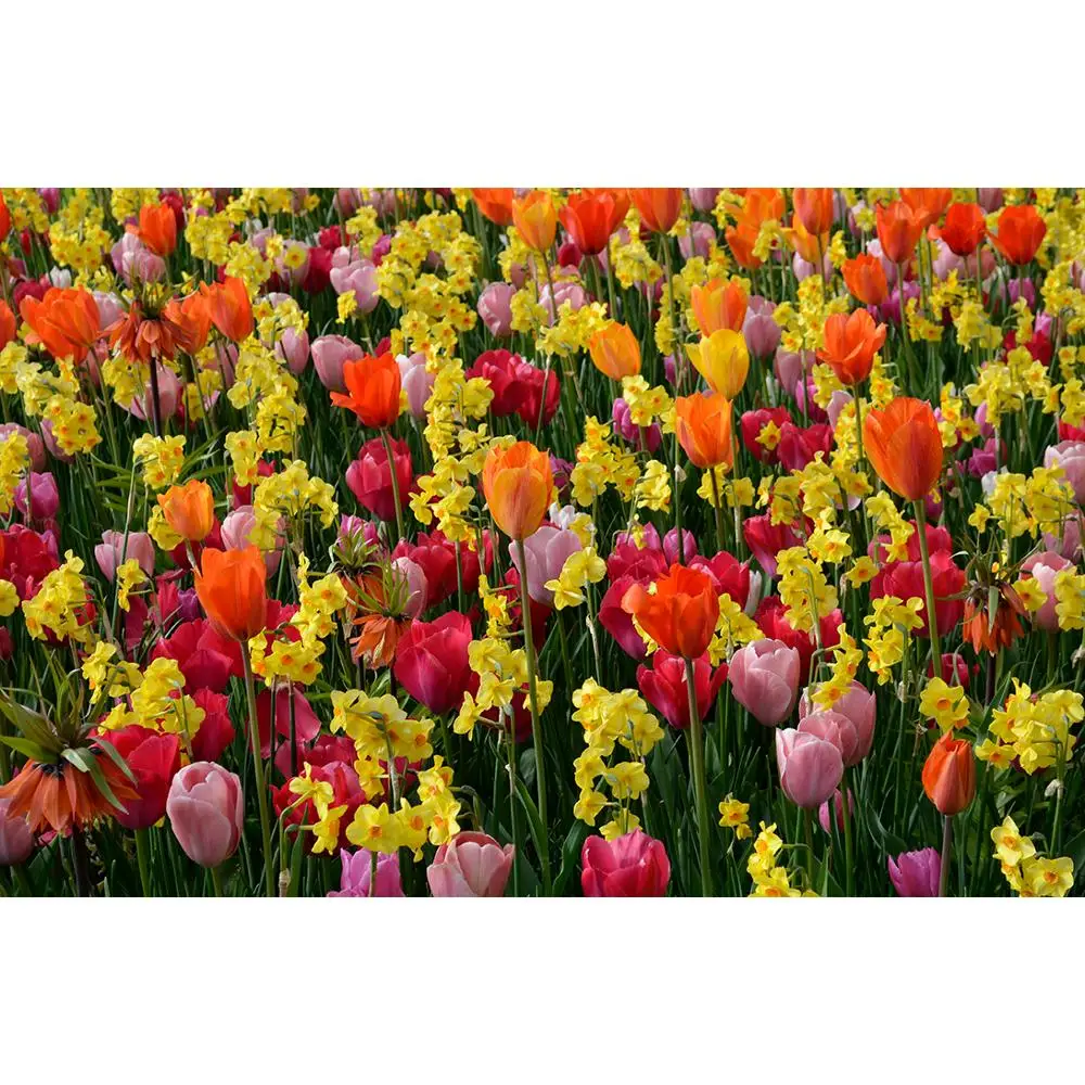 

ZHISUXI Vinyl Photography Backdrops Flower and Wooden Planks Theme Photography Background 200309HK-0029