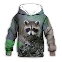 raccoon animal 3d printed hoodies family suit tshirt zipper pullover kids suit funny sweatshirt tracksuitpant shorts 03