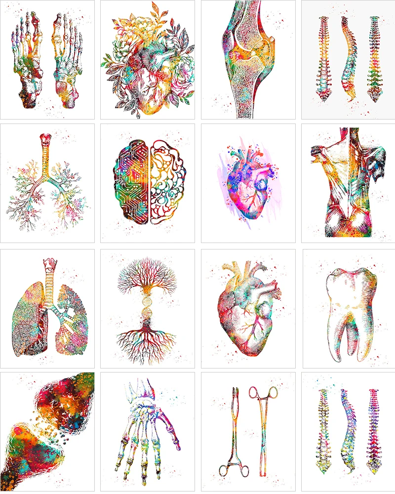 

Painted Human Organs Acrylic Pigment DIY By Numbers Art Picture Set Coloring Decorative Canvas Wall Artcraft Oil Painting