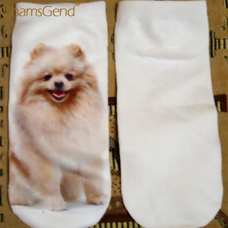 Женские носки милые хлопковые с 3d-изображением Померанской собаки повседневные