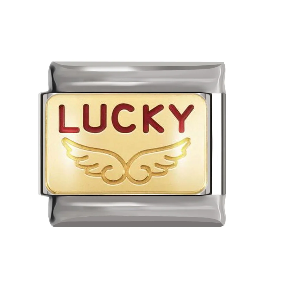 DJ159 G Hapiship Новинка 9 мм ширина Daisy Dream Lucky King Чемпион браслет с итальянскими подвесками из нержавеющей стали для изготовления ювелирных изделий DJ159 - Окраска металла: DJ159 G