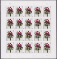 contemporary boutonniere forever first class postage stamps invitation wedding celebration love graduation 5 sheet of 20