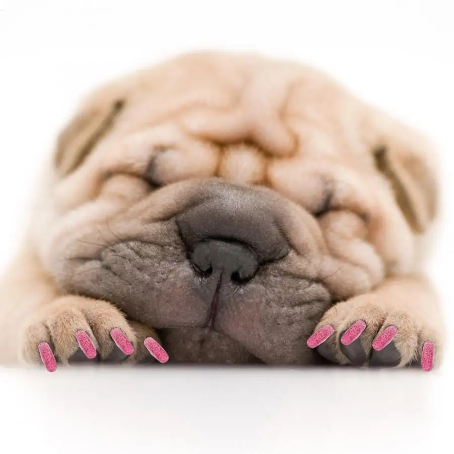 100 шт. мягкий ПВХ чехол для ногтей домашних собак колпачок когтей обертка колпак