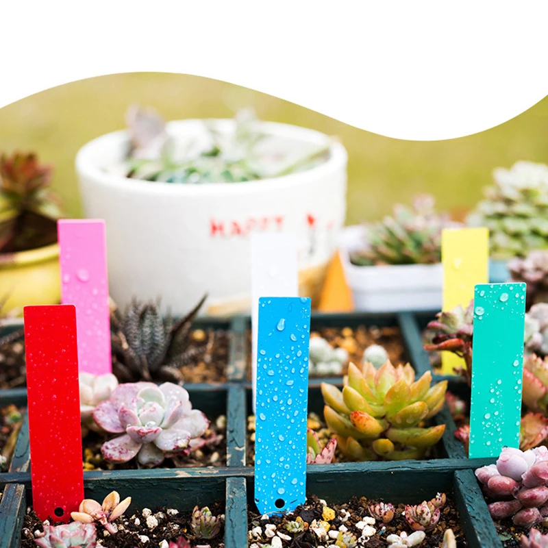 

50/100PCS Multicolor Plant Label Bonsai Famous Brand Plastic Memo Kindergarten Flower Pot Plant Garden Decoration