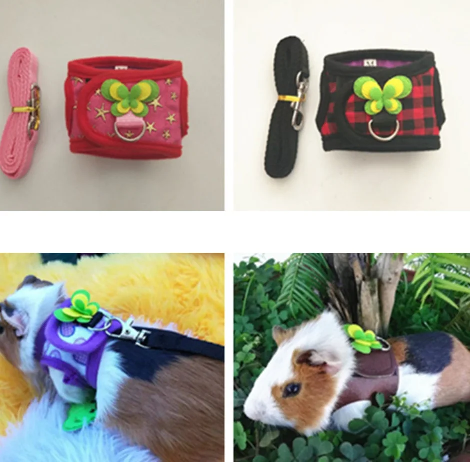 

Guinea pig rope chinchilla special chest strap kitten rabbit rope Dutch pig out traction rope small pet chest strap