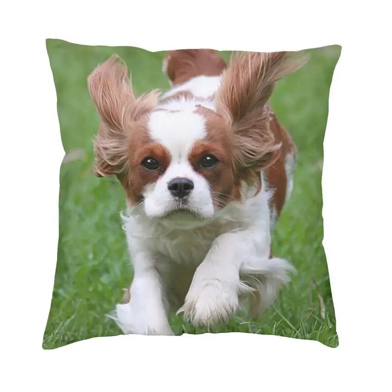 

Cavalier King Charles Spaniel Dog Throw Pillow Covers Decoration Nordic Cute Puppy Cushions for Sofa Square Pillowcase