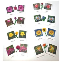 montessori biology materials flowers models cards kids learning resources matching game for children early childhood education