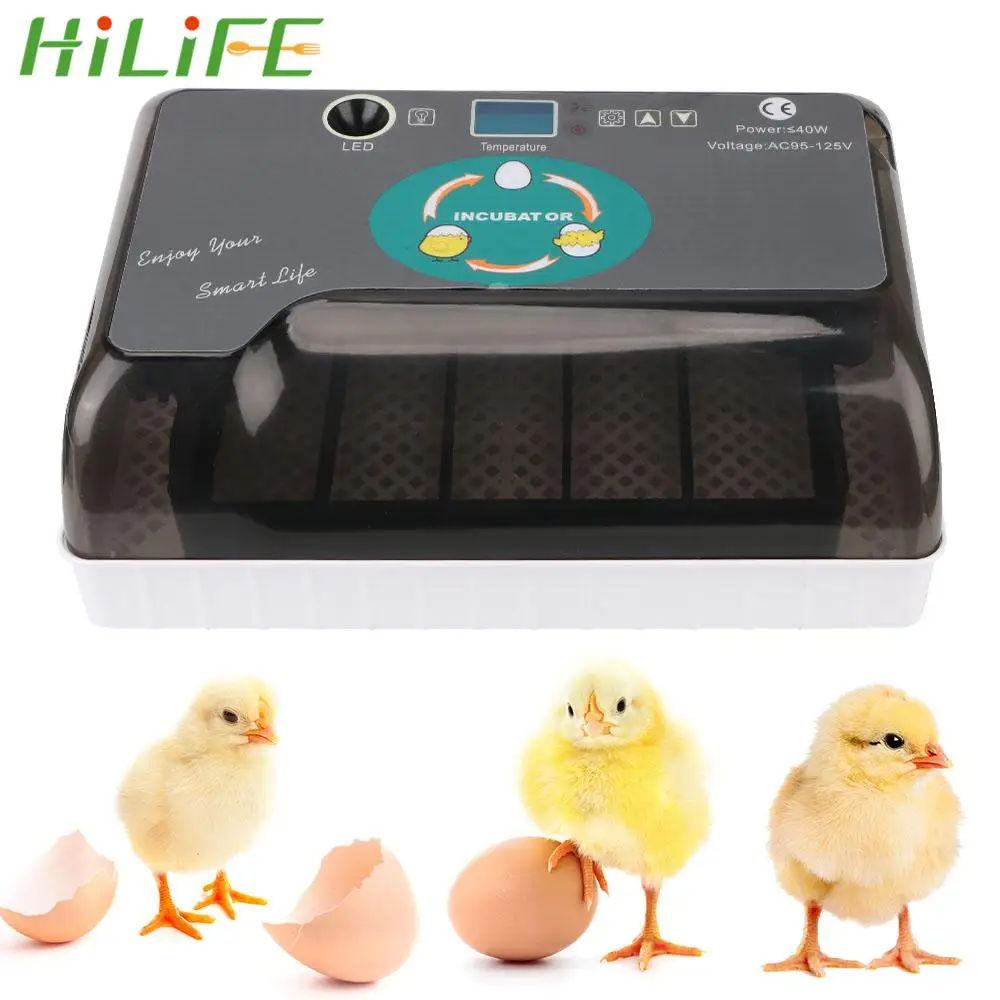 

Недорогой автоматический инкубатор для яиц, товары для домашних животных, Брудер для цыплят, перепелов, фермы, инкубаторы для яиц 4-35