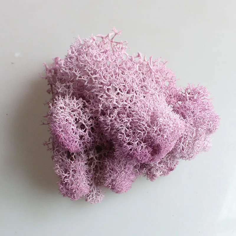 Light-purple Йо Чо натуральный норвежский олень мох консервированный сушеный ремесло цветок тычинки украшение свадебное украшение для сказочного сада декор мускус - Цвет: Light-purple