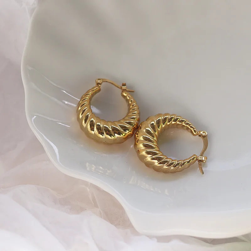 

2021 Advanced Hollow Stainless Steel Earrings for Girls 18K Gold PVD Circle Oval Crescent Hoops Shrimp Pattern Women's Jewelry