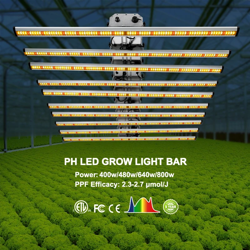 

Phlizon Horticultural lamp led Hydroponic indoor plant growth light 800w